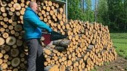 Заготовка дров в Подольске
